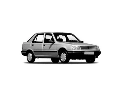 PEUGEOT 309 (10A/10C/3A/3C), 86 - 93 запчасти