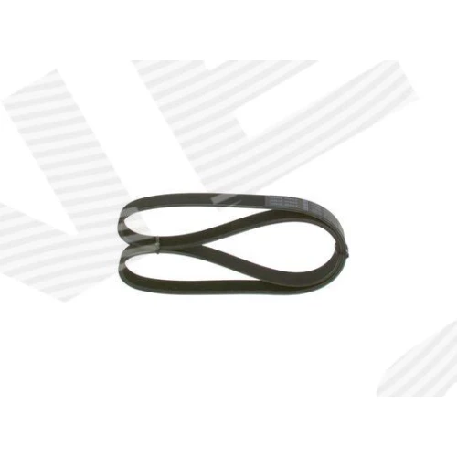 ALTERNATOR BELT - 2