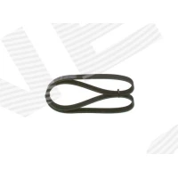 Alternator belt