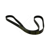 Alternator belt