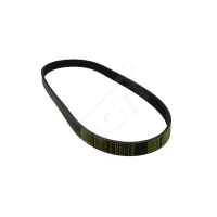 Alternator belt