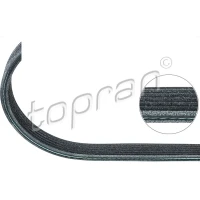 Alternator belt