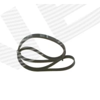 Alternator belt