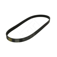 Alternator belt