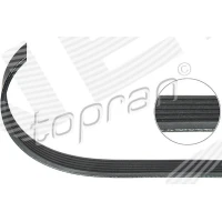 Alternator belt