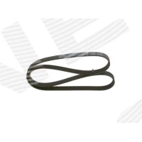 Alternator belt