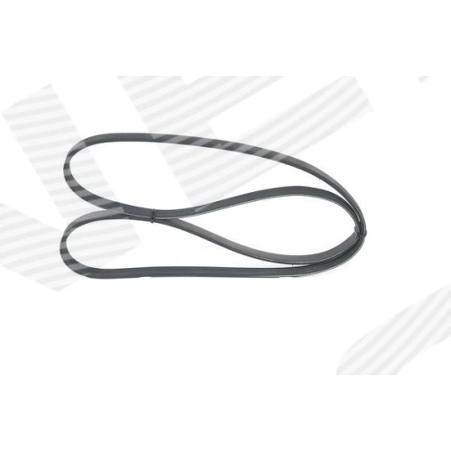 ALTERNATOR BELT - 2