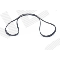 Alternator belt