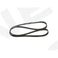 Alternator belt