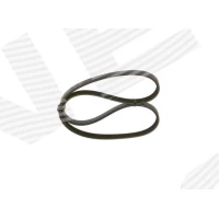 Alternator belt