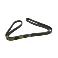 Alternator belt