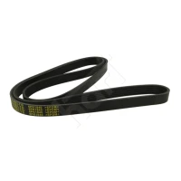 Alternator belt