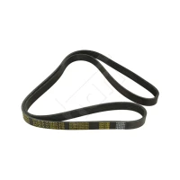 Alternator belt