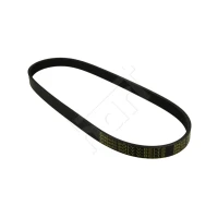 ALTERNATOR BELT