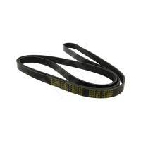 ALTERNATOR BELT