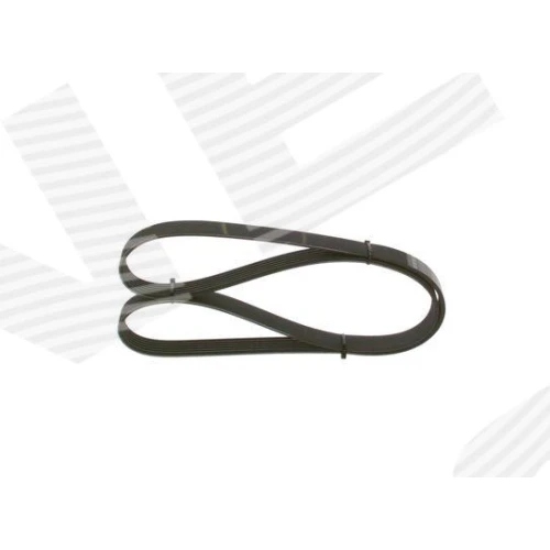 ALTERNATOR BELT - 2