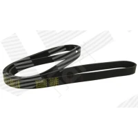 Alternator belt