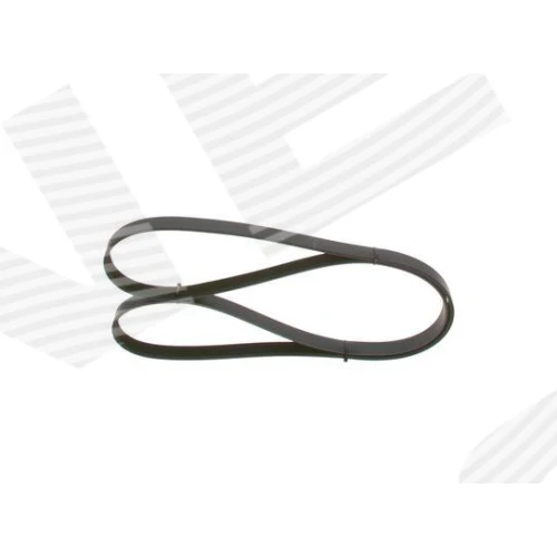 ALTERNATOR BELT - 2