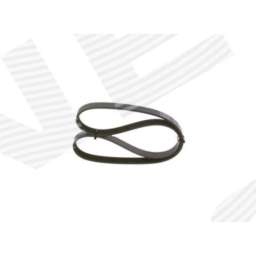 ALTERNATOR BELT - 2