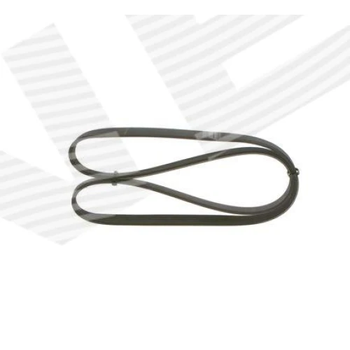 ALTERNATOR BELT - 2