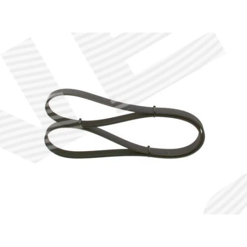 ALTERNATOR BELT - 2