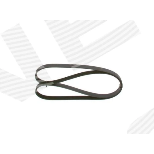 ALTERNATOR BELT - 2