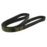 Alternator belt