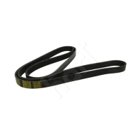 Alternator belt