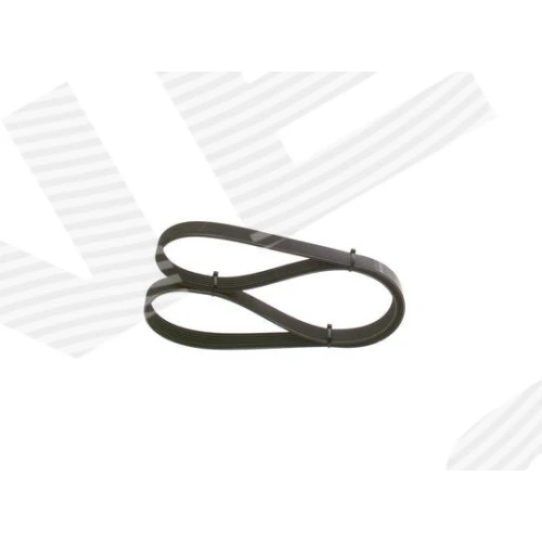 ALTERNATOR BELT - 2