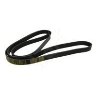 Alternator belt