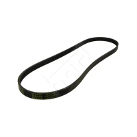 Alternator belt