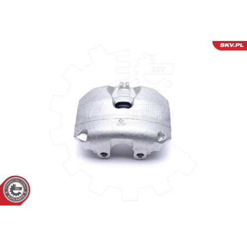 BRAKE CALIPER - 5