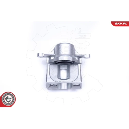 BRAKE CALIPER - 6