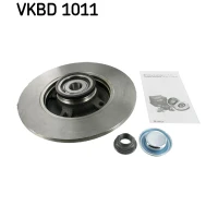 Brake disc