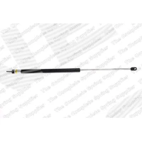 Bonnet gas spring