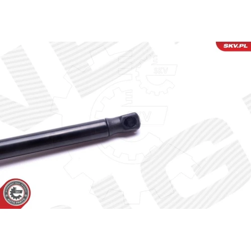 BONNET GAS SPRING - 2