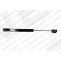 Bonnet gas spring