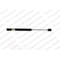 Bonnet gas spring