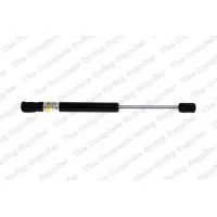 Bonnet gas spring