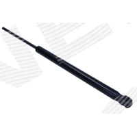 Bonnet gas spring