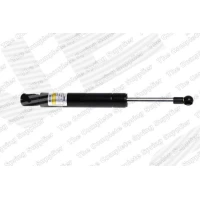 Bonnet gas spring