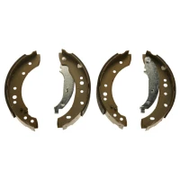 Brake shoe set