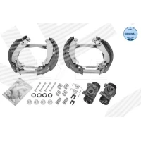 Brake shoe set