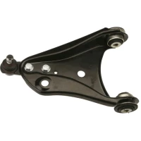 Control arm