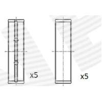 Crankshaft bearings