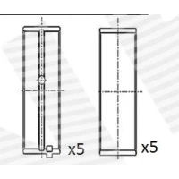 Crankshaft bearings