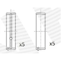 Crankshaft bearings