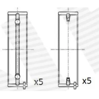 Crankshaft bearings