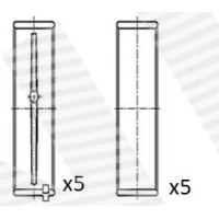 Crankshaft bearings