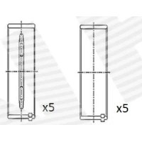 Crankshaft bearings